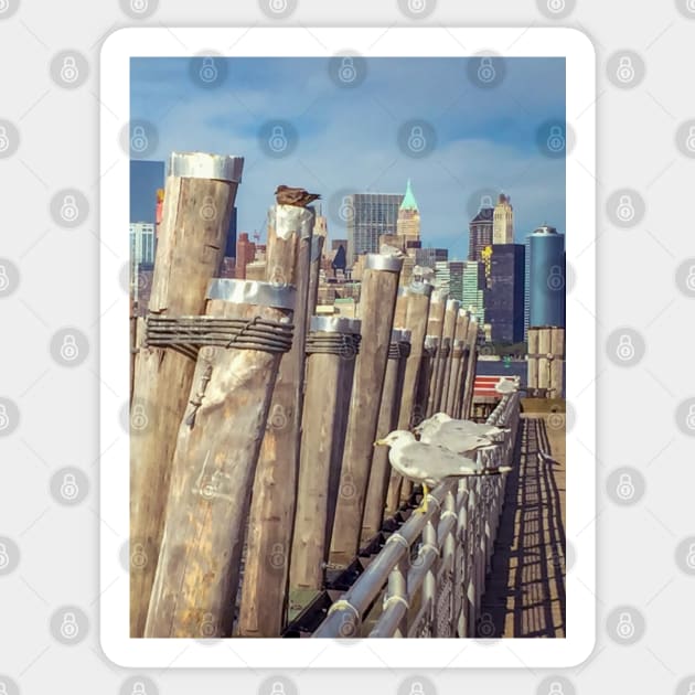 Seagulls Manhattan Skyline Liberty Island New York City Sticker by eleonoraingrid